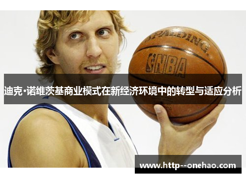 迪克·诺维茨基商业模式在新经济环境中的转型与适应分析